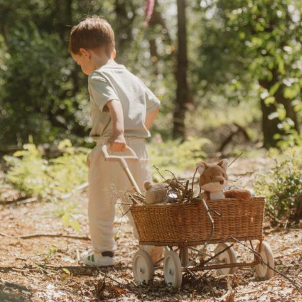 Little Dutch Knuffel Vos - Forest Friends