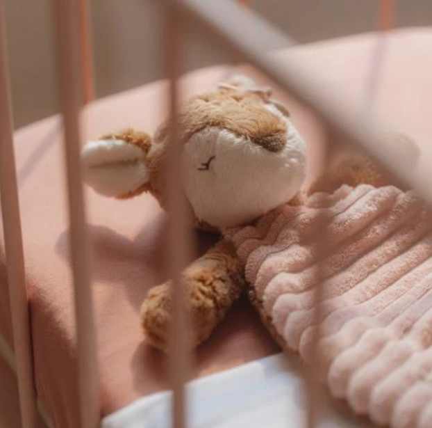 Little Dutch Knuffeldoekje knuffel Hert - Fairy Garden