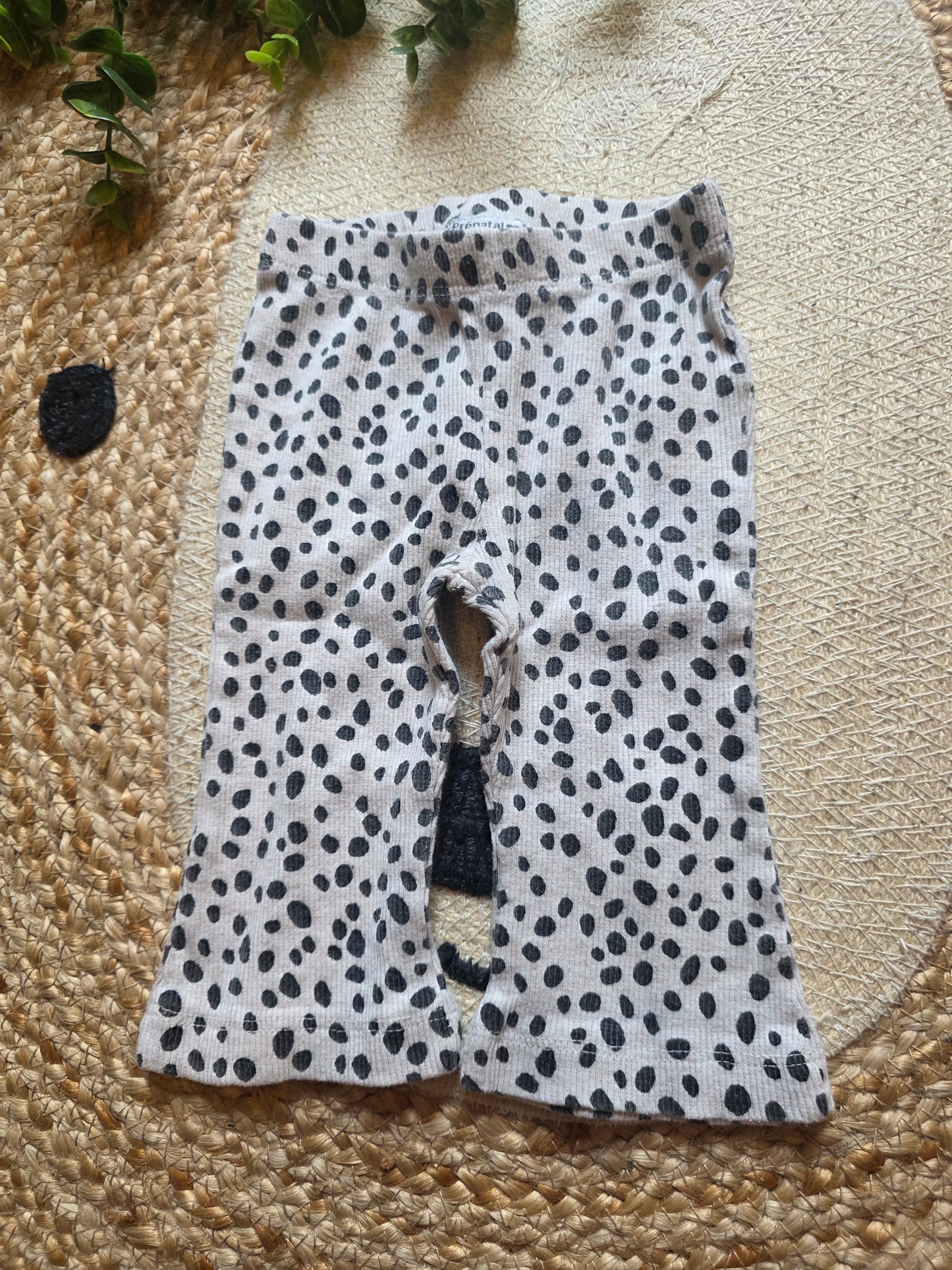 Prénatal broek maat 62 -K217