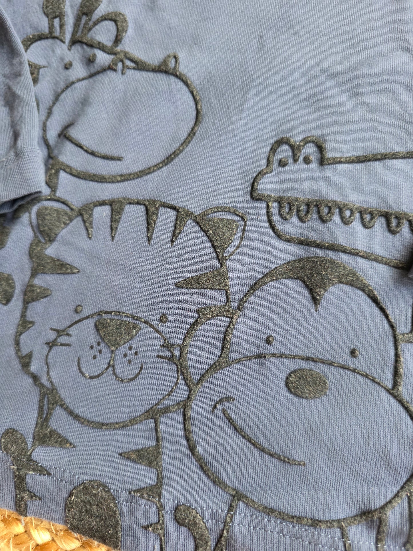 Next shirtje maat 9-12 m