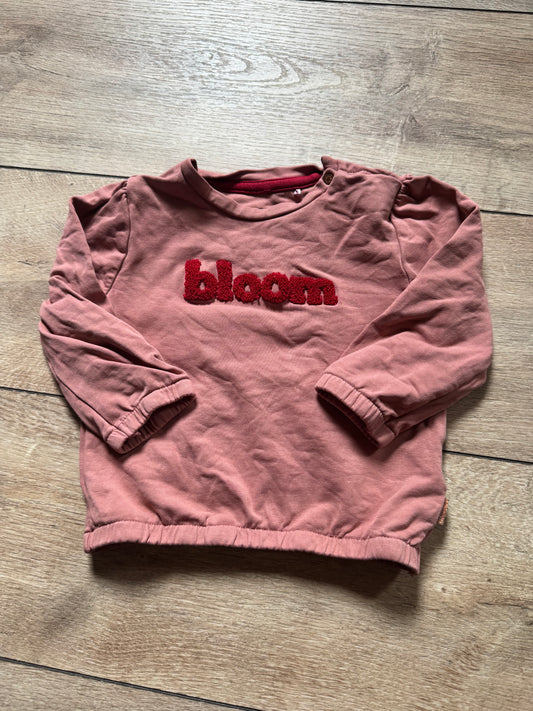 Noppies trui maat 80
