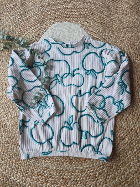 Hema trui maat 110/116