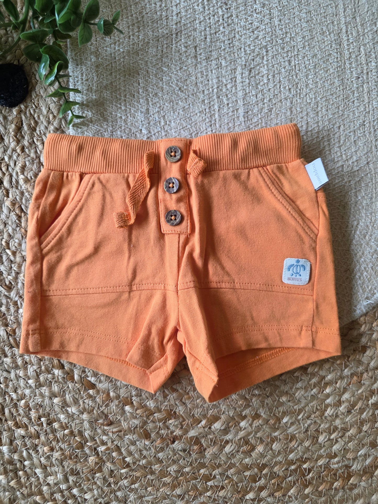 Noppies korte broek maat 56 -K210