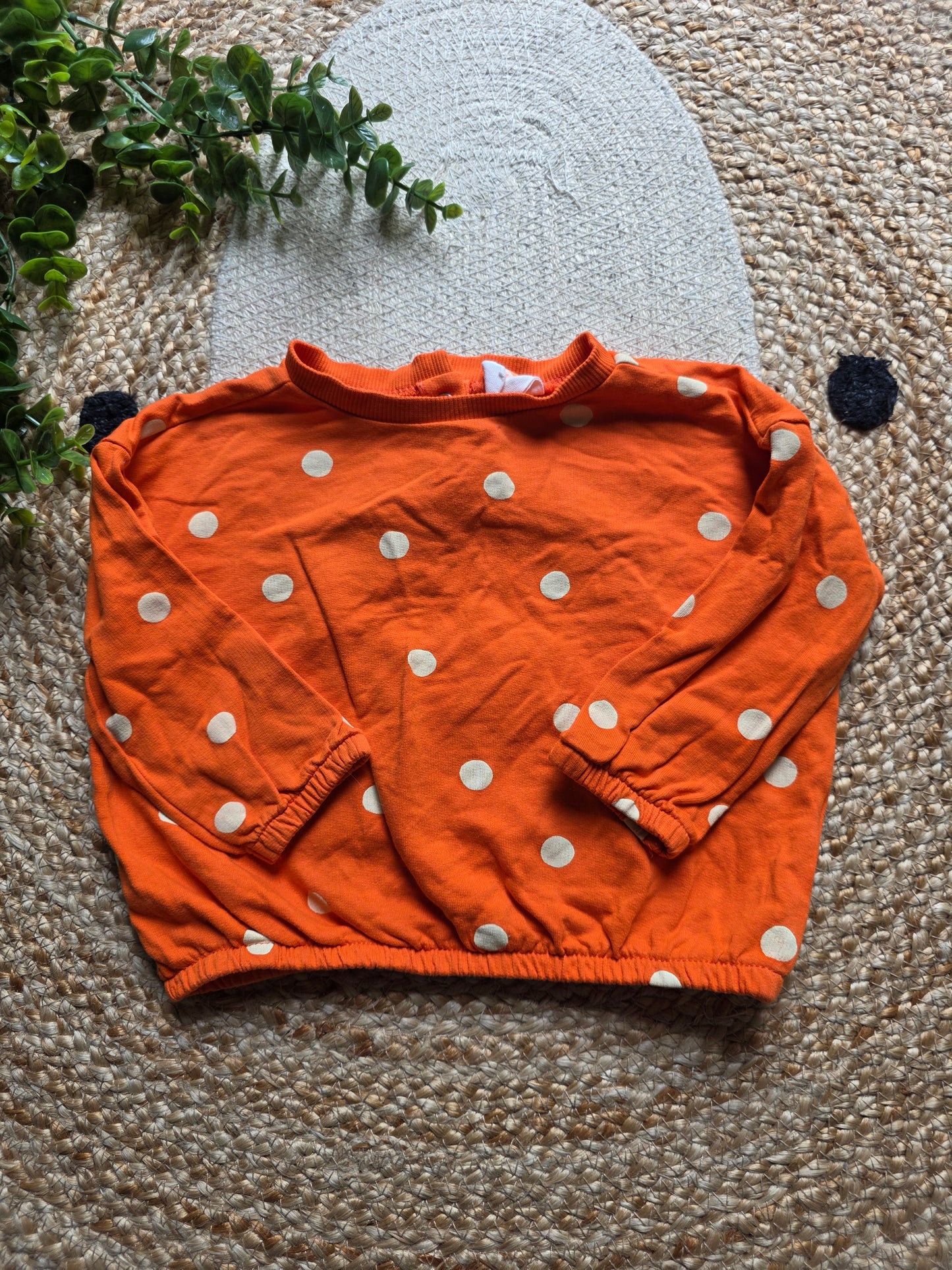 Hema trui maat 74 -K211