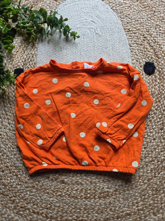 Hema trui maat 74 -K211