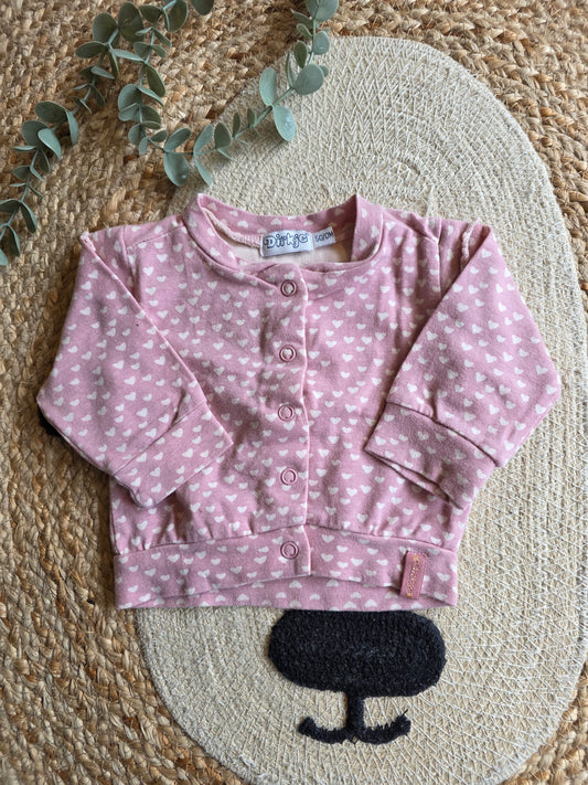 Dirkje vestje maat 50