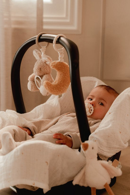 Little Dutch Activiteiten hangers Newborn Naturals