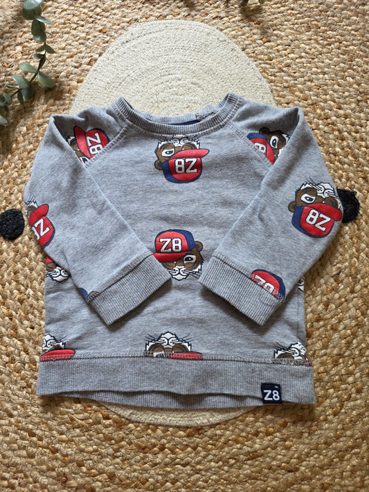 Z8 trui maat 74