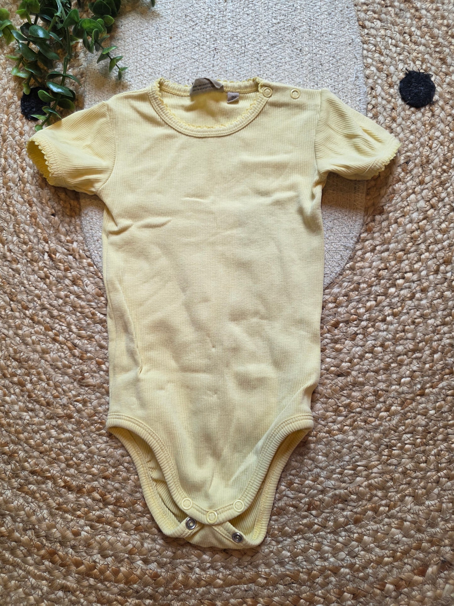 WHEAT body maat 74 -K226