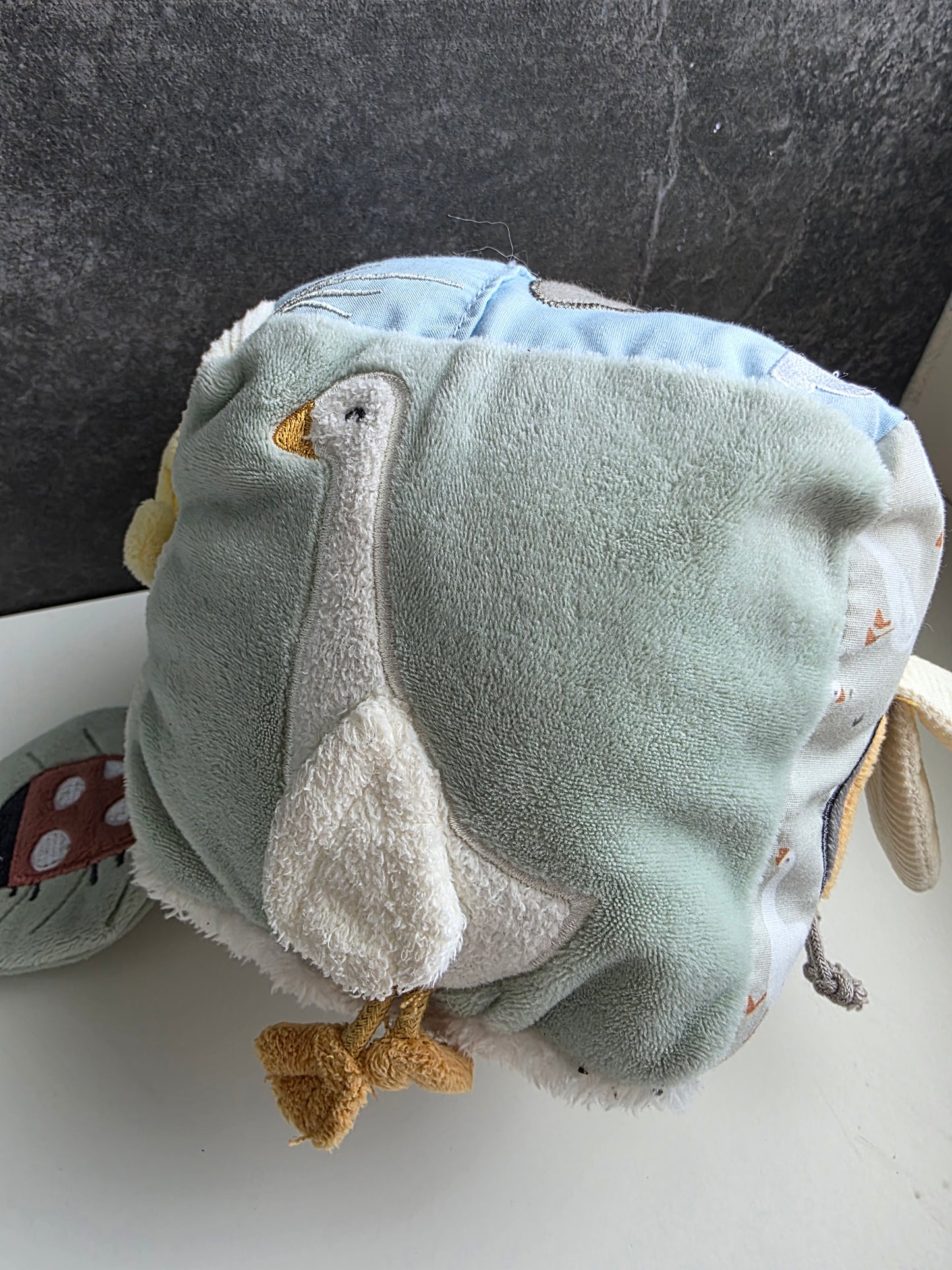 Little dutch goose activiteitenkubus