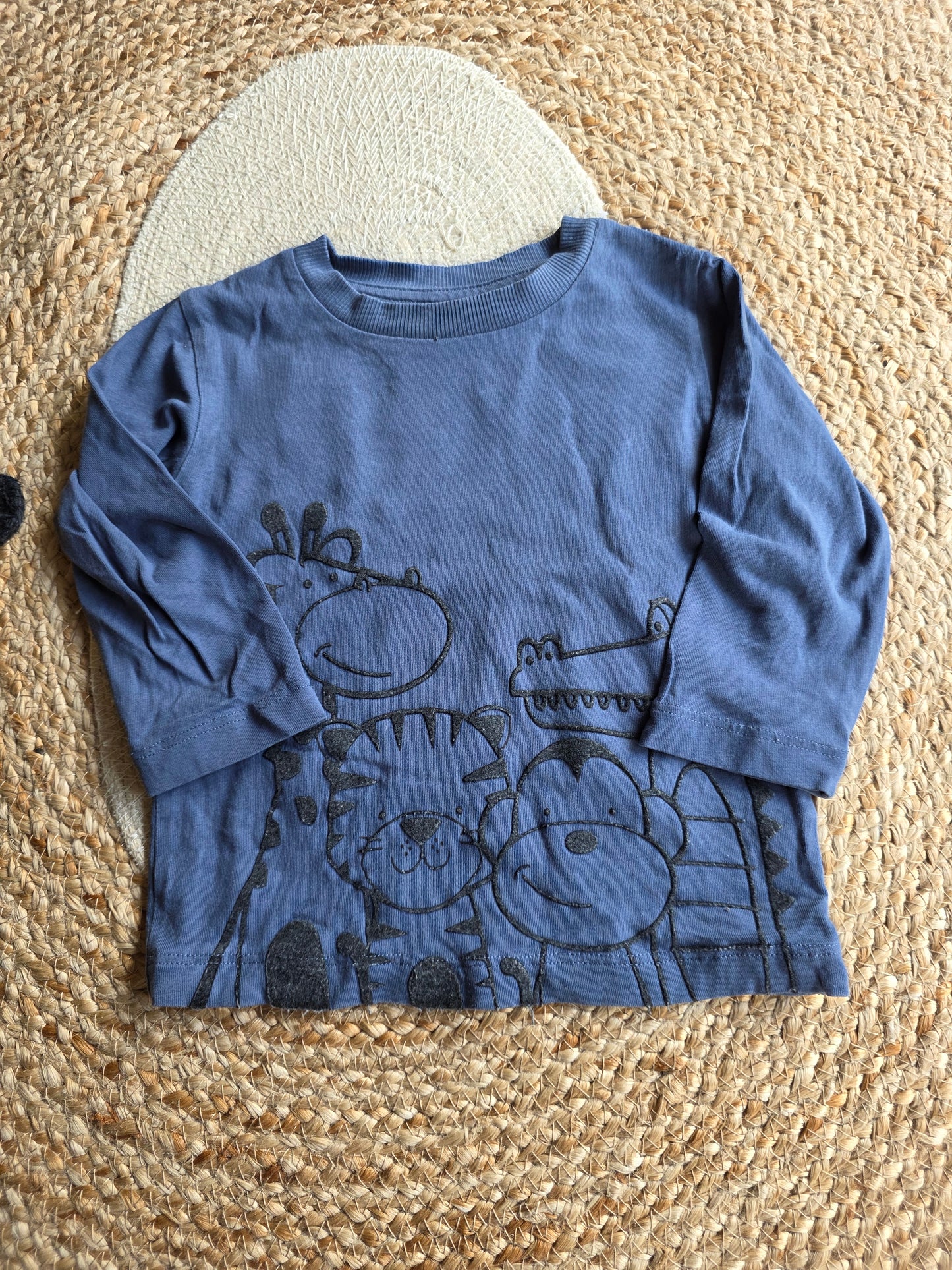 Next shirtje maat 9-12 m