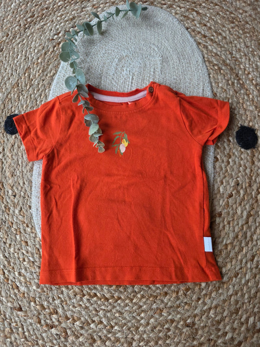 Noppies tshirt maat 68