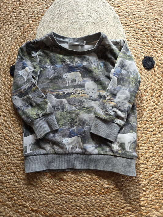 Name it trui maat 80