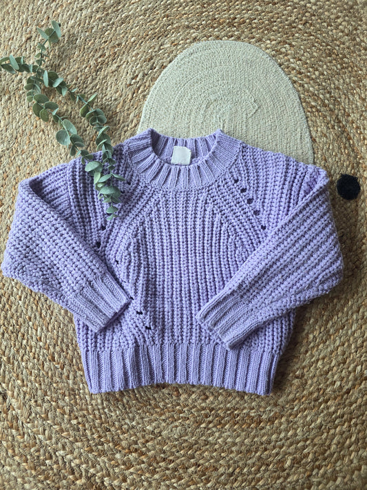 Hema trui maat 98/104