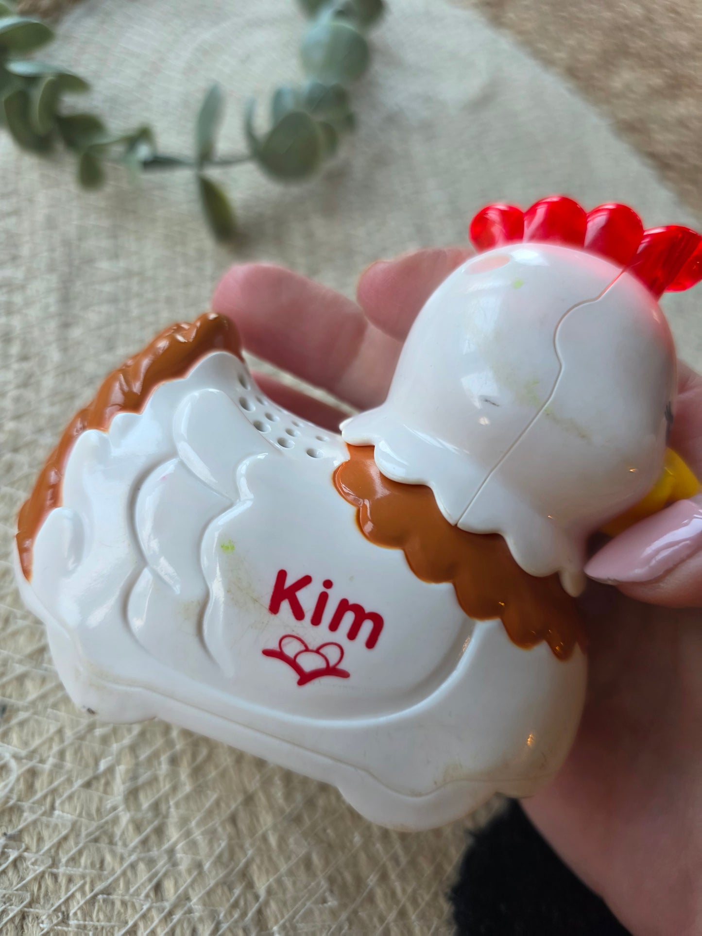 Vtech zoef zoef kip kim