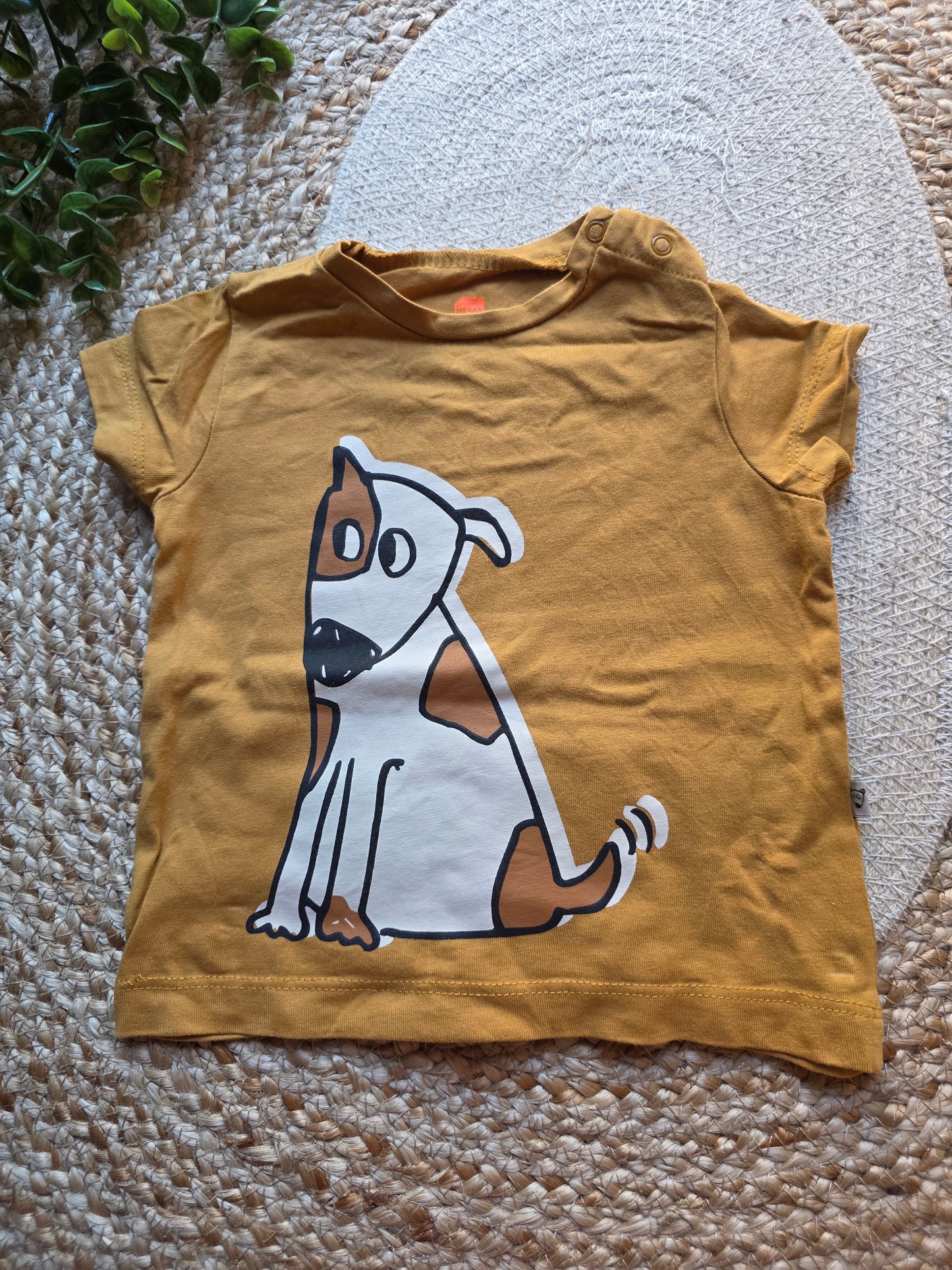 Hema tshirt maat 68 -K222