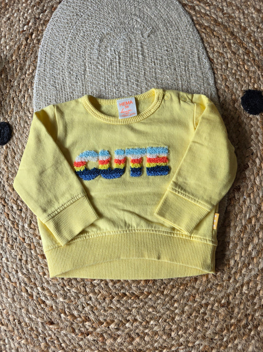 Hema trui maat 56