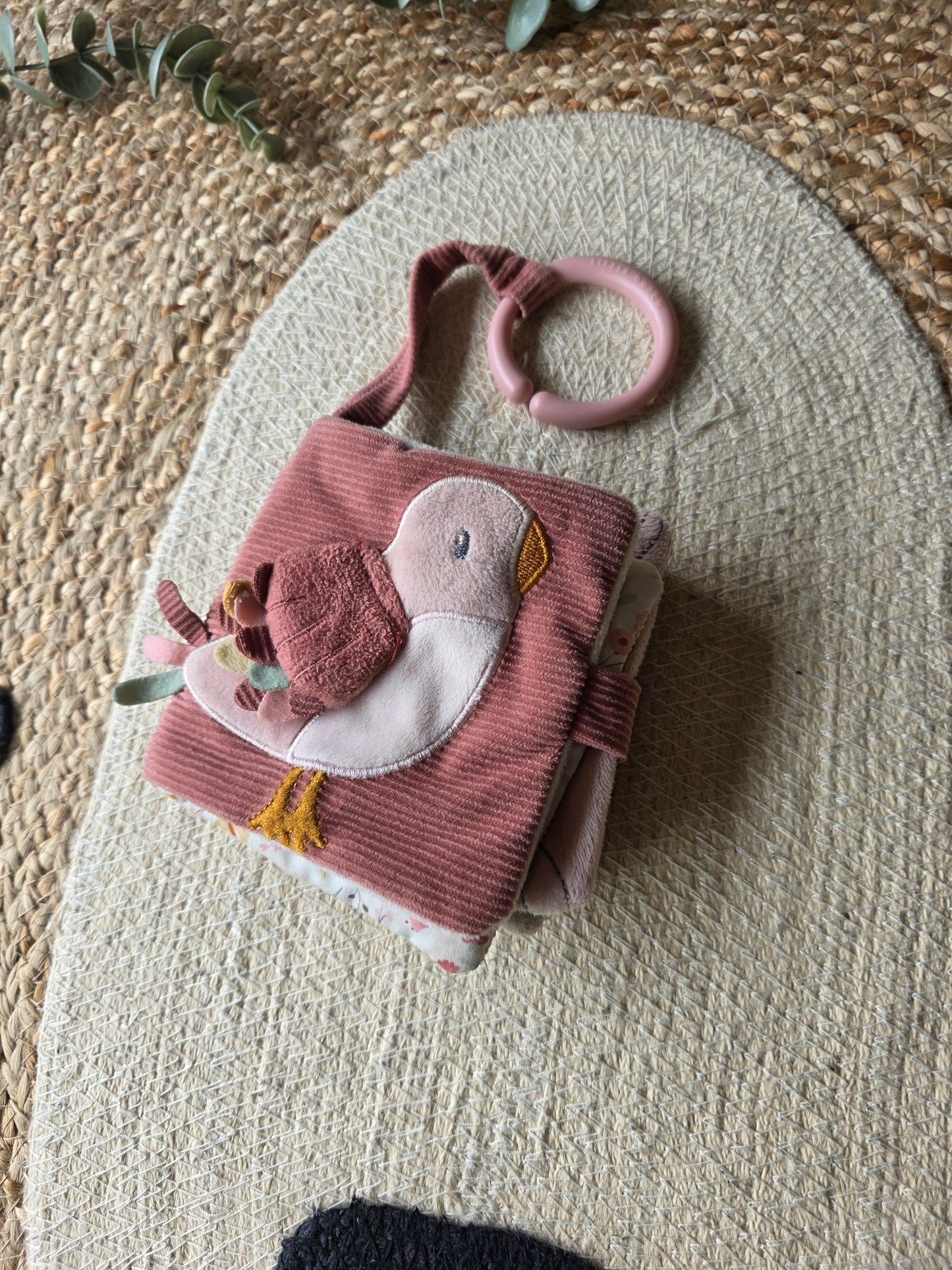 Little dutch buggyboekje